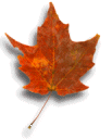 A Leaf