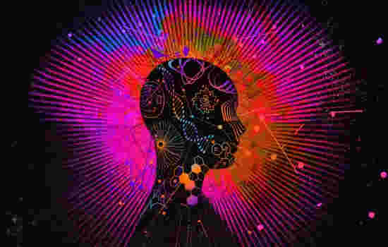 Bradford Science Festival