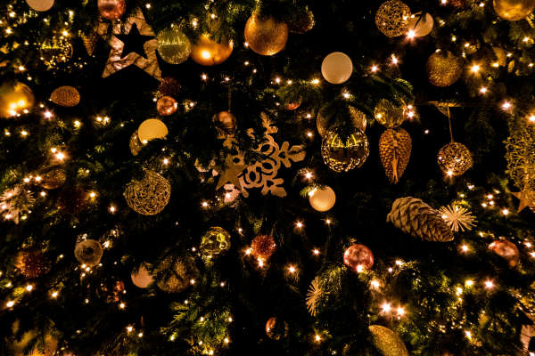 Chrsitmas tree