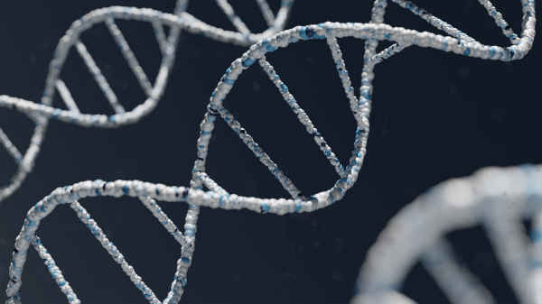 The double helix of DNA