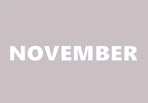 Events Celebrations & Special Days in November