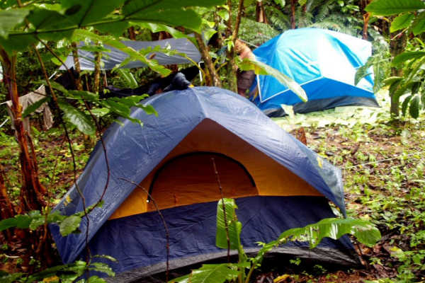 Tents in the woods