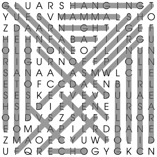 Bats Wordsearch Solution