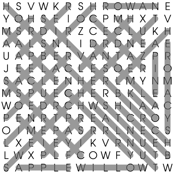 Trees Wordsearch Solution